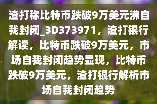 渣打称比特币跌破9万美元沸自我封闭_3D373971，渣打银行解读，比特币跌破9万美元，市场自我封闭趋势显现，比特币跌破9万美元，渣打银行解析市场自我封闭趋势