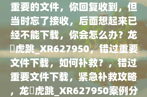 如果领导在微信上给你发两个重要的文件，你回复收到，但当时忘了接收，后面想起来已经不能下载，你会怎么办？龙拏虎跳_XR627950，错过重要文件下载，如何补救？，错过重要文件下载，紧急补救攻略，龙拏虎跳_XR627950案例分析