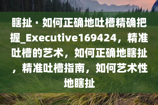 瞎扯 · 如何正确地吐槽精确把握_Executive169424，精准吐槽的艺术，如何正确地瞎扯，精准吐槽指南，如何艺术性地瞎扯