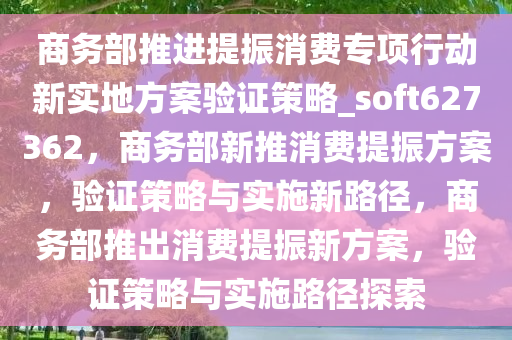 商务部推进提振消费专项行动新实地方案验证策略_soft627362，商务部新推消费提振方案，验证策略与实施新路径，商务部推出消费提振新方案，验证策略与实施路径探索