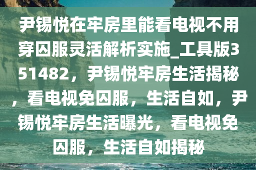 尹锡悦在牢房里能看电视不用穿囚服灵活解析实施_工具版351482，尹锡悦牢房生活揭秘，看电视免囚服，生活自如，尹锡悦牢房生活曝光，看电视免囚服，生活自如揭秘