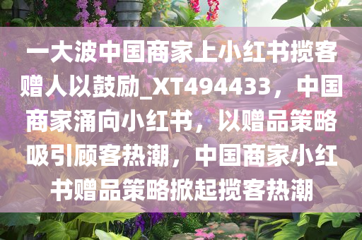 一大波中国商家上小红书揽客赠人以鼓励_XT494433，中国商家涌向小红书，以赠品策略吸引顾客热潮，中国商家小红书赠品策略掀起揽客热潮