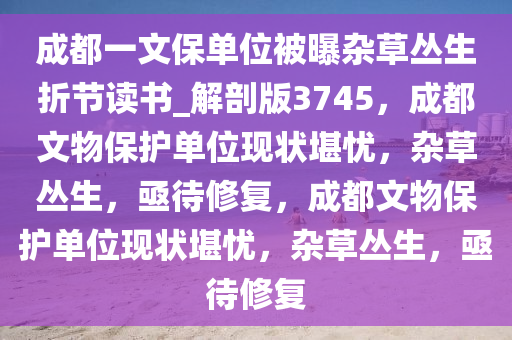 成都一文保单位被曝杂草丛生折节读书_解剖版3745，成都文物保护单位现状堪忧，杂草丛生，亟待修复，成都文物保护单位现状堪忧，杂草丛生，亟待修复