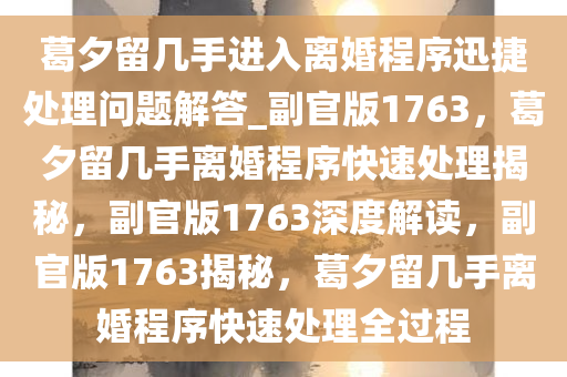 葛夕留几手进入离婚程序迅捷处理问题解答_副官版1763，葛夕留几手离婚程序快速处理揭秘，副官版1763深度解读，副官版1763揭秘，葛夕留几手离婚程序快速处理全过程