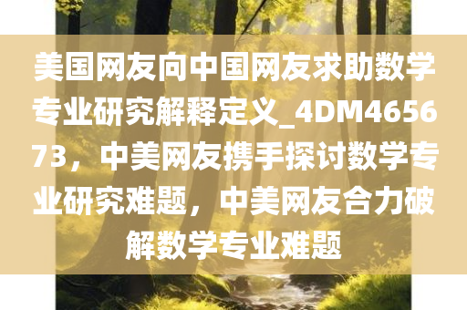 美国网友向中国网友求助数学专业研究解释定义_4DM465673，中美网友携手探讨数学专业研究难题，中美网友合力破解数学专业难题