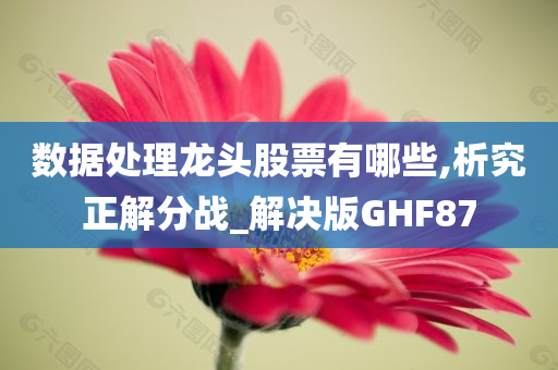 数据处理龙头股票有哪些,析究正解分战_解决版GHF87