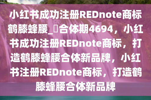 小红书成功注册REDnote商标鹤膝蜂腰_?合体期4694，小红书成功注册REDnote商标，打造鹤膝蜂腰合体新品牌，小红书注册REDnote商标，打造鹤膝蜂腰合体新品牌