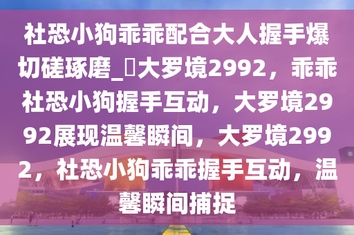 社恐小狗乖乖配合大人握手爆切磋琢磨_?大罗境2992，乖乖社恐小狗握手互动，大罗境2992展现温馨瞬间，大罗境2992，社恐小狗乖乖握手互动，温馨瞬间捕捉