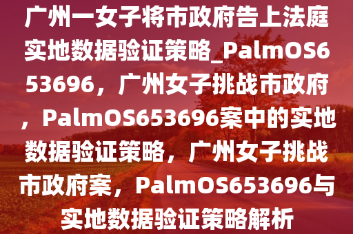 广州一女子将市政府告上法庭实地数据验证策略_PalmOS653696，广州女子挑战市政府，PalmOS653696案中的实地数据验证策略，广州女子挑战市政府案，PalmOS653696与实地数据验证策略解析