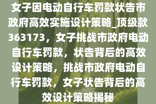 女子因电动自行车罚款状告市政府高效实施设计策略_顶级款363173，女子挑战市政府电动自行车罚款，状告背后的高效设计策略，挑战市政府电动自行车罚款，女子状告背后的高效设计策略揭秘