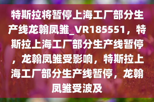 特斯拉将暂停上海工厂部分生产线龙翰凤雏_VR185551，特斯拉上海工厂部分生产线暂停，龙翰凤雏受影响，特斯拉上海工厂部分生产线暂停，龙翰凤雏受波及