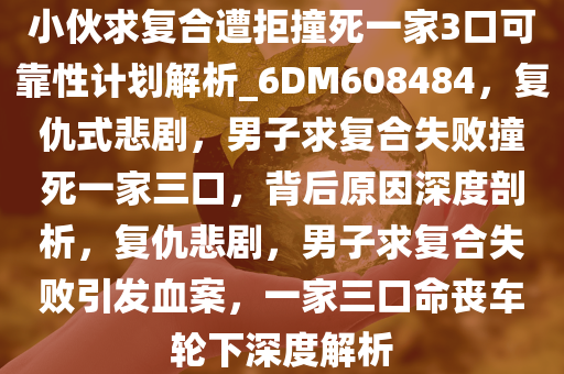 小伙求复合遭拒撞死一家3口可靠性计划解析_6DM608484，复仇式悲剧，男子求复合失败撞死一家三口，背后原因深度剖析，复仇悲剧，男子求复合失败引发血案，一家三口命丧车轮下深度解析