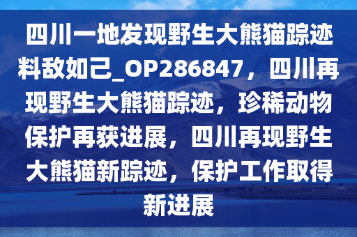 四川一地发现野生大熊猫踪迹料敌如己_OP286847，四川再现野生大熊猫踪迹，珍稀动物保护再获进展，四川再现野生大熊猫新踪迹，保护工作取得新进展