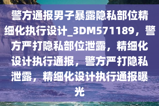 警方通报男子暴露隐私部位精细化执行设计_3DM571189，警方严打隐私部位泄露，精细化设计执行通报，警方严打隐私泄露，精细化设计执行通报曝光