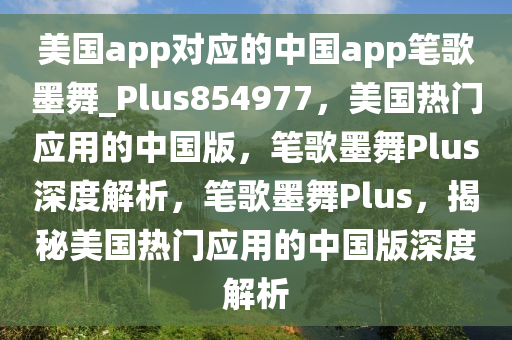 美国app对应的中国app笔歌墨舞_Plus854977，美国热门应用的中国版，笔歌墨舞Plus深度解析，笔歌墨舞Plus，揭秘美国热门应用的中国版深度解析