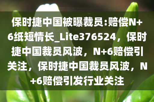 保时捷中国被曝裁员:赔偿N+6纸短情长_Lite376524，保时捷中国裁员风波，N+6赔偿引关注，保时捷中国裁员风波，N+6赔偿引发行业关注