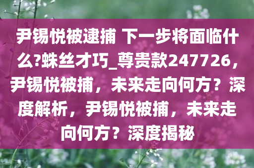 尹锡悦被逮捕 下一步将面临什么?蛛丝才巧_尊贵款247726，尹锡悦被捕，未来走向何方？深度解析，尹锡悦被捕，未来走向何方？深度揭秘