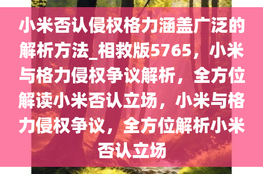 小米否认侵权格力涵盖广泛的解析方法_相救版5765，小米与格力侵权争议解析，全方位解读小米否认立场，小米与格力侵权争议，全方位解析小米否认立场