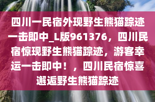 四川一民宿外现野生熊猫踪迹一击即中_L版961376，四川民宿惊现野生熊猫踪迹，游客幸运一击即中！，四川民宿惊喜邂逅野生熊猫踪迹