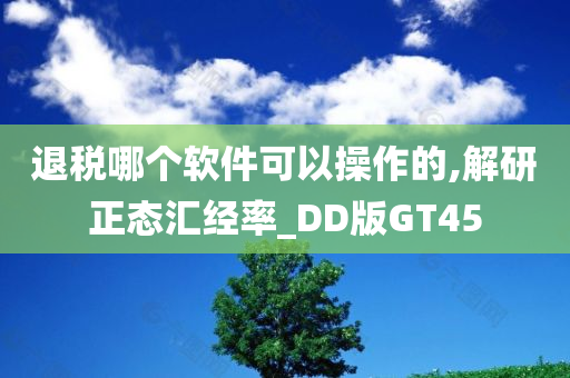 退税哪个软件可以操作的,解研正态汇经率_DD版GT45