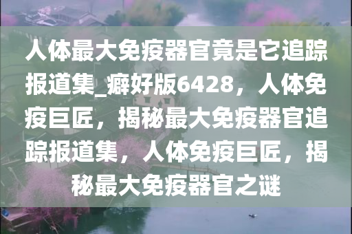 人体最大免疫器官竟是它追踪报道集_癖好版6428，人体免疫巨匠，揭秘最大免疫器官追踪报道集，人体免疫巨匠，揭秘最大免疫器官之谜