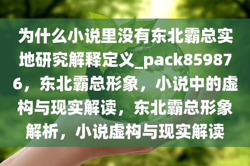 为什么小说里没有东北霸总实地研究解释定义_pack859876，东北霸总形象，小说中的虚构与现实解读，东北霸总形象解析，小说虚构与现实解读