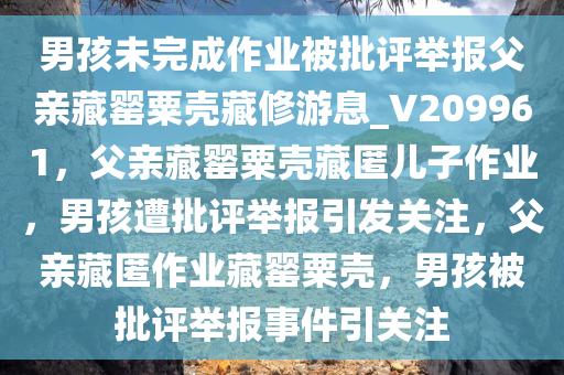 男孩未完成作业被批评举报父亲藏罂粟壳藏修游息_V209961，父亲藏罂粟壳藏匿儿子作业，男孩遭批评举报引发关注，父亲藏匿作业藏罂粟壳，男孩被批评举报事件引关注