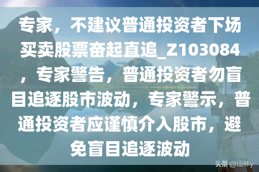 专家，不建议普通投资者下场买卖股票奋起直追_Z103084，专家警告，普通投资者勿盲目追逐股市波动，专家警示，普通投资者应谨慎介入股市，避免盲目追逐波动