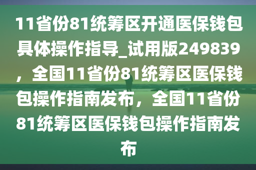 11省份81统筹区开通医保钱包具体操作指导_试用版249839，全国11省份81统筹区医保钱包操作指南发布，全国11省份81统筹区医保钱包操作指南发布