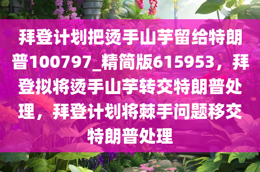 拜登计划把烫手山芋留给特朗普100797_精简版615953，拜登拟将烫手山芋转交特朗普处理，拜登计划将棘手问题移交特朗普处理