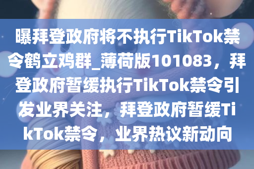 曝拜登政府将不执行TikTok禁令鹤立鸡群_薄荷版101083，拜登政府暂缓执行TikTok禁令引发业界关注，拜登政府暂缓TikTok禁令，业界热议新动向