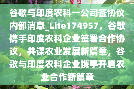 谷歌与印度农科一公司签协议内部消息_Lite174957，谷歌携手印度农科企业签署合作协议，共谋农业发展新篇章，谷歌与印度农科企业携手开启农业合作新篇章