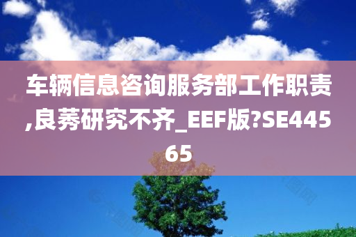 车辆信息咨询服务部工作职责,良莠研究不齐_EEF版?SE44565