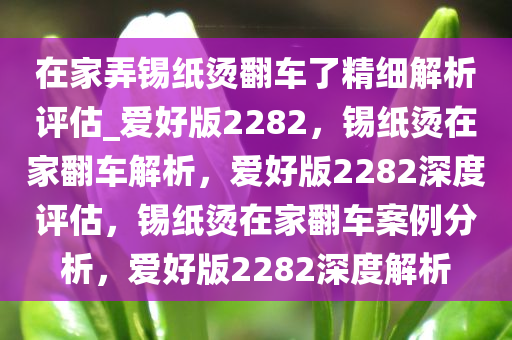 在家弄锡纸烫翻车了精细解析评估_爱好版2282，锡纸烫在家翻车解析，爱好版2282深度评估，锡纸烫在家翻车案例分析，爱好版2282深度解析