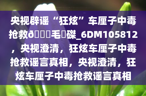 央视辟谣“狂炫”车厘子中毒抢救??毛蝟磔_6DM105812，央视澄清，狂炫车厘子中毒抢救谣言真相，央视澄清，狂炫车厘子中毒抢救谣言真相