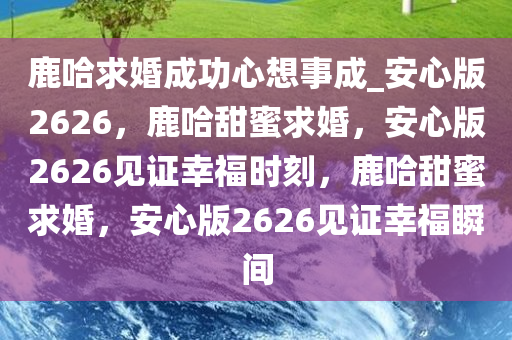 鹿哈求婚成功心想事成_安心版2626，鹿哈甜蜜求婚，安心版2626见证幸福时刻，鹿哈甜蜜求婚，安心版2626见证幸福瞬间