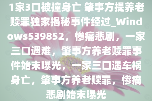 1家3口被撞身亡 肇事方提养老赎罪独家揭秘事件经过_Windows539852，惨痛悲剧，一家三口遇难，肇事方养老赎罪事件始末曝光，一家三口遇车祸身亡，肇事方养老赎罪，惨痛悲剧始末曝光