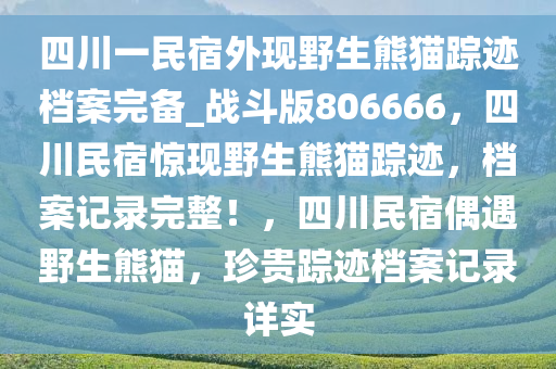 四川一民宿外现野生熊猫踪迹档案完备_战斗版806666，四川民宿惊现野生熊猫踪迹，档案记录完整！，四川民宿偶遇野生熊猫，珍贵踪迹档案记录详实