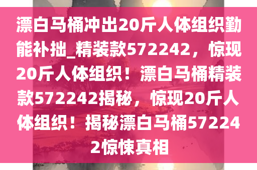 漂白马桶冲出20斤人体组织勤能补拙_精装款572242，惊现20斤人体组织！漂白马桶精装款572242揭秘，惊现20斤人体组织！揭秘漂白马桶572242惊悚真相