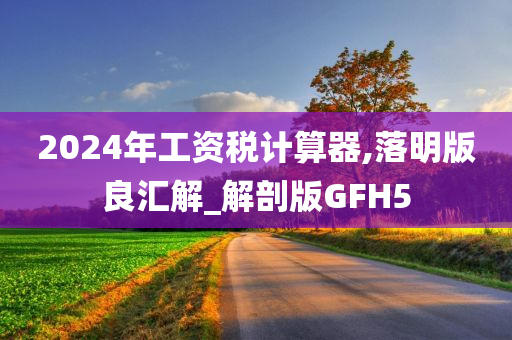 2024年工资税计算器,落明版良汇解_解剖版GFH5