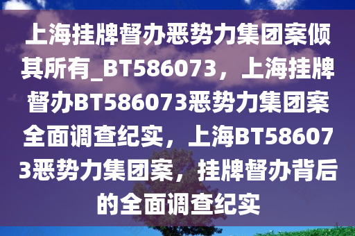 上海挂牌督办恶势力集团案倾其所有_BT586073，上海挂牌督办BT586073恶势力集团案全面调查纪实，上海BT586073恶势力集团案，挂牌督办背后的全面调查纪实