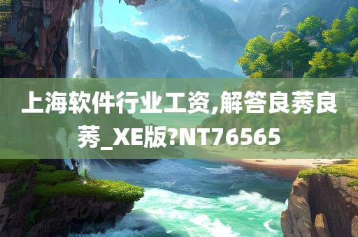 上海软件行业工资,解答良莠良莠_XE版?NT76565