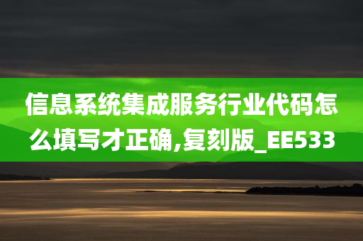 信息系统集成服务行业代码怎么填写才正确,复刻版_EE533