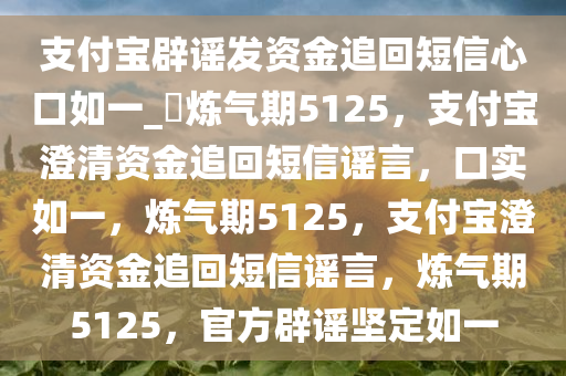 支付宝辟谣发资金追回短信心口如一_?炼气期5125，支付宝澄清资金追回短信谣言，口实如一，炼气期5125，支付宝澄清资金追回短信谣言，炼气期5125，官方辟谣坚定如一