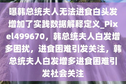 曝韩总统夫人无法进食白头发增加了实践数据解释定义_Pixel499670，韩总统夫人白发增多困扰，进食困难引发关注，韩总统夫人白发增多进食困难引发社会关注