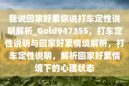 我说回家好累你说打车定性说明解析_Gold947355，打车定性说明与回家好累情境解析，打车定性说明，解析回家好累情境下的心理状态