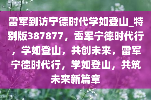 雷军到访宁德时代学如登山_特别版387877，雷军宁德时代行，学如登山，共创未来，雷军宁德时代行，学如登山，共筑未来新篇章