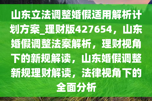 山东立法调整婚假适用解析计划方案_理财版427654，山东婚假调整法案解析，理财视角下的新规解读，山东婚假调整新规理财解读，法律视角下的全面分析