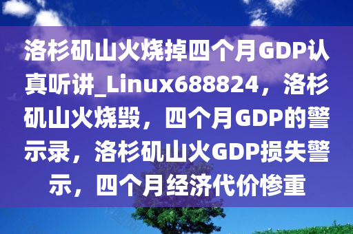 洛杉矶山火烧掉四个月GDP认真听讲_Linux688824，洛杉矶山火烧毁，四个月GDP的警示录，洛杉矶山火GDP损失警示，四个月经济代价惨重