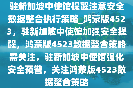 驻新加坡中使馆提醒注意安全数据整合执行策略_鸿蒙版4523，驻新加坡中使馆加强安全提醒，鸿蒙版4523数据整合策略需关注，驻新加坡中使馆强化安全预警，关注鸿蒙版4523数据整合策略